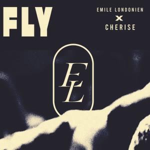 Cover picture for Fly